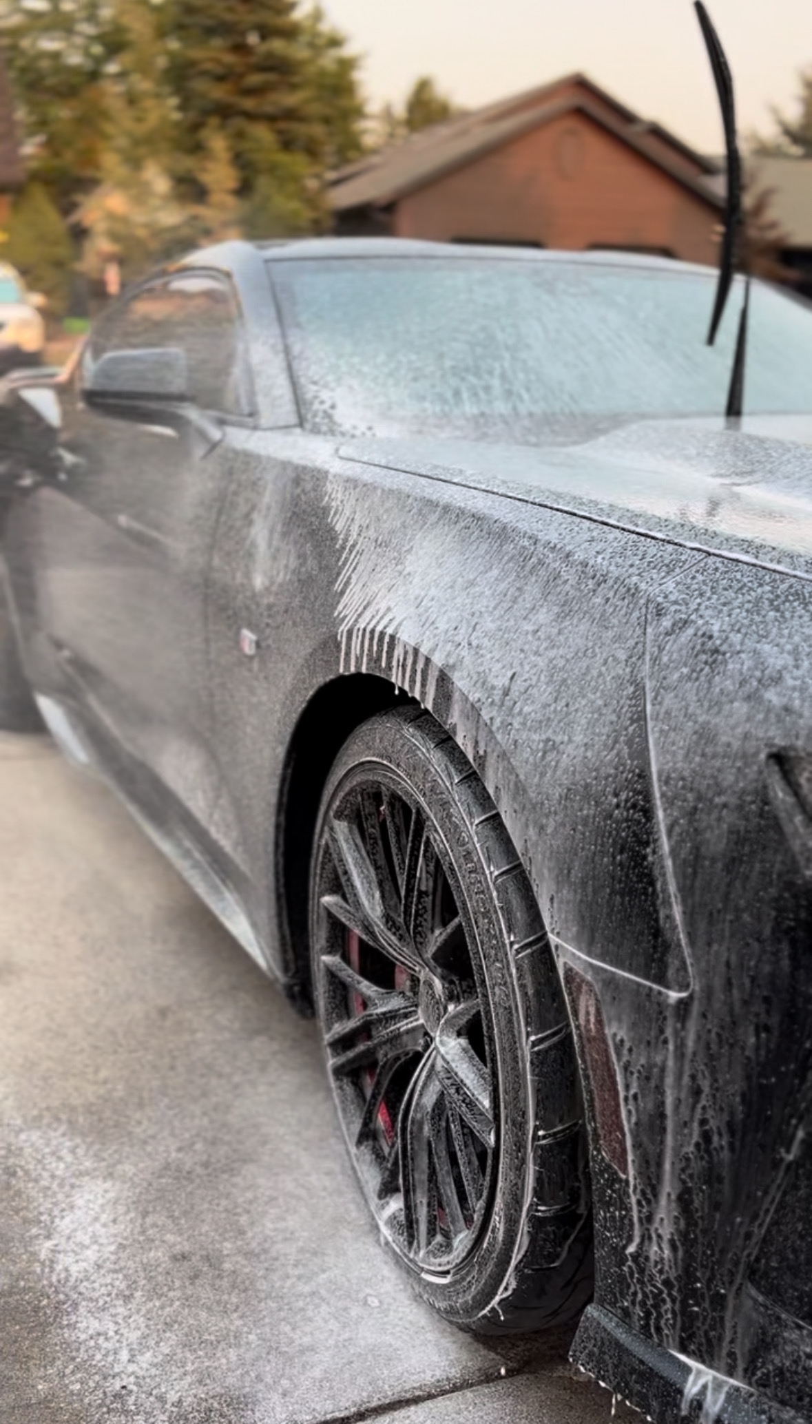 How We Detail