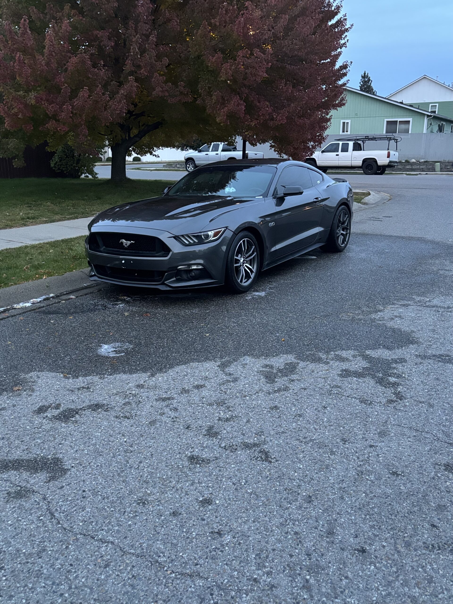 Exterior finish
